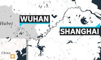 cuộc truy tìm "bệnh nhân số 0" và chìa khóa giải mã dịch covid-19 hình 2