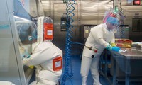 sars-cov-2 có thể đã xuất hiện từ tháng 9/2019, không phải ở vũ hán? hình 2