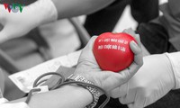 hàng trăm người kon tum hiến máu giữa mùa dịch covid-19 hình 2
