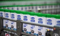 doanh thu quý 4 năm 2018 của vinamilk tăng hơn 5,3% so với cùng kỳ hình 2