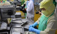 xuất khẩu tôm ở cà mau có nhiều triển vọng hình 4