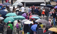 tphcm: nhiều điểm vui chơi thu hút khách trong dịp tết dương lịch hình 3