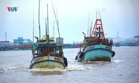 sức mua hải sản những ngày cuối năm không tăng hình 3
