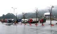 không xuất chuối được sang tq, thương lái "tìm đường" sang thái lan hình 3