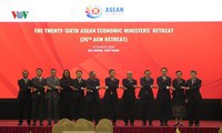 thông qua 12 đề xuất sáng kiến hợp tác kinh tế ưu tiên của việt nam hình 3