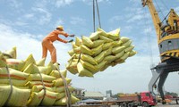 điểm nghẽn trong xuất khẩu gạo của các doanh nghiệp vùng đbscl hình 4