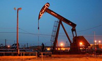 giá dầu thô phi mã nhờ cam kết cắt giảm sản lượng hình 2