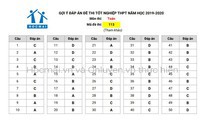 thi tốt nghiệp thpt 2020: giáo viên dự đoán phổ điểm môn toán hình 2