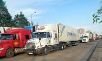 dn và người dân tăng tính kết nối tạo ra thị trường nông sản bền vững hình 2