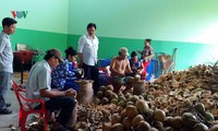 mô hình hợp tác xã ở sơn la giúp người dân thoát nghèo bền vững hình 3