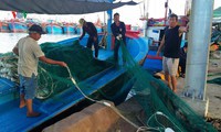 tăng cường kiểm tra, kiểm soát công tác chuẩn bị phục vụ tết nguyên đán hình 2