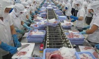 doanh nghiệp việt mất cảnh giác bị thiệt hại nặng vì đối tác nước ngoài hình 2