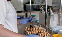 romania triển khai các biện pháp phòng chống dịch covid-19 hình 2