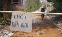 xâm nhập vùng dịch cúm a h5n6 tại thanh hóa hình 3