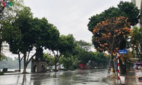 thời tiết ngày 22/2: hà nội có mưa nhỏ vài nơi trời rét hình 2