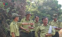 bình thuận: phá rừng ở khu bảo tồn thiên nhiên tà cú hình 3