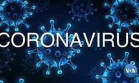 số ca nghi nhiễm virus corona tại lào có chiều hướng tăng hình 1