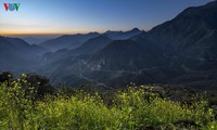 lào cai cách ly 2 công dân người anh đi cùng chuyến bay bệnh nhân số 17 hình 2
