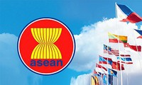 việt nam đảm nhận chức chủ tịch luân phiên ủy ban asean tại argentina hình 3