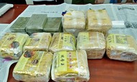công an đồng nai phá tụ điểm ma tuý cùng vũ khí "nóng" hình 3