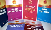 thủ tướng thúc tiến độ ban hành văn bản quy định chi tiết thi hành luật hình 2