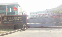 ubnd tp đà nẵng thua kiện vụ kiện hủy đấu giá lô đất vàng của vipico hình 3