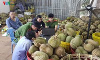 xác định được danh tính đối tượng mang 12 thùng hoá chất vứt trên sông hồng hình 2