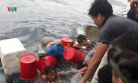 tàu sar 412 cứu thuyền viên bị nạn trên vùng biển hoàng sa hình 4