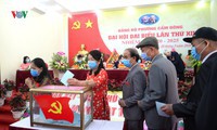 hà giang tổ chức đại hội điểm đảng bộ trực tuyến 205 điểm cầu hình 2