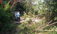 tphcm: nghi phạm nổ súng ở củ chi là công an nghĩa vụ? hình 3