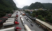 thị trường ảm đạm, nhà vườn dừng chong đèn thanh long trái vụ hình 4