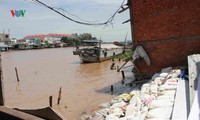 đê sụt lún vào mùa hạn ở cà mau, người dân lo sang mùa mưa bão hình 5
