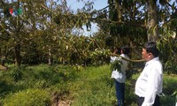 sóc trăng ứng dụng tốt kỹ thuật, công nghệ để ứng phó với hạn mặn hình 5