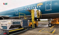 đưa du khách anh về nước và kết hợp đón người việt đang gặp khó khăn hình 2