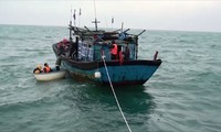 chìm tàu chở đá ở cảng vĩnh tân, tỉnh bình thuận hình 2