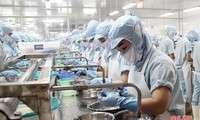 "một miếng khi đói bằng một gói khi no" hình 2