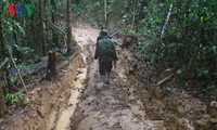 kon tum thành lập đoàn kiểm tra thông tin có phá rừng quy mô lớn hình 2