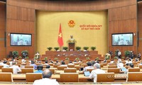 bổ sung cháy rừng do tự nhiên là thiên tai đặc thù hình 4