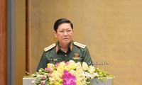 cấm dùng khu vực biên giới việt nam để chống phá, can thiệp nước khác hình 7