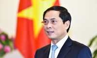 biểu quyết và cho thi hành phán quyết giải quyết tranh chấp theo evipa hình 3
