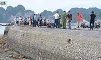 thủ tướng: xử lý nghiêm vụ tai nạn ở bình thuận, quảng ninh và kon tum hình 7