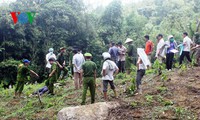 thừa thiên huế xây nhà cho 25 hộ nghèo ở kinh thành huế hình 3