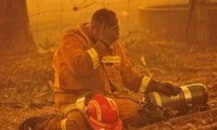 cảm động câu chuyện của cặp đôi australia sau "bão" lửa cháy rừng hình 2