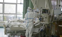 việt nam sẵn sàng đưa công dân từ vùng dịch về nước khi cần thiết hình 2
