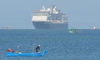 cứ 1 giờ lại có 4-5 người trên du thuyền diamond princess nhiễm covid-19 hình 2