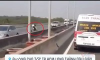 kiến nghị sớm có cao tốc kết nối 2 sân bay tân sơn nhất và long thành hình 4