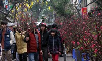 hà nội cấm đường tổ chức chợ hoa xuân trên phố cổ hàng lược hoàn kiếm hình 2