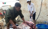 sơn la hỗ trợ gần 40 tỷ đồng phòng chống dịch tả lợn châu phi hình 2