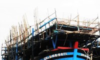 cháy tàu cá tại hàn quốc: 5 thuyền viên việt nam mất tích hình 2