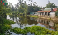 quảng ngãi chậm xử lý lấn chiếm luồng lạch do buông lỏng quản lý? hình 5